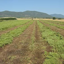 Περιοχή Εικόνα