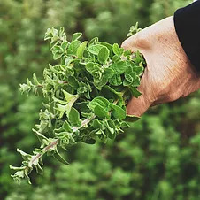 Συσκευασίες Εικόνα