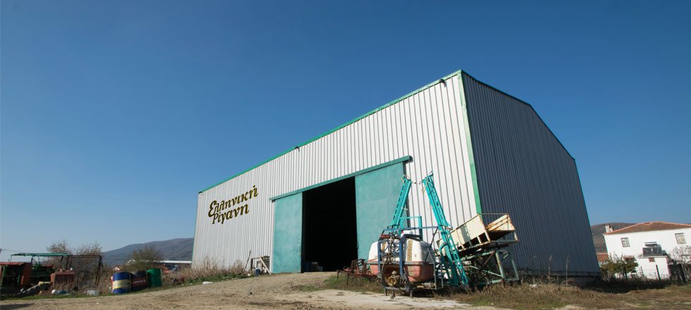 Greek Oregano Building